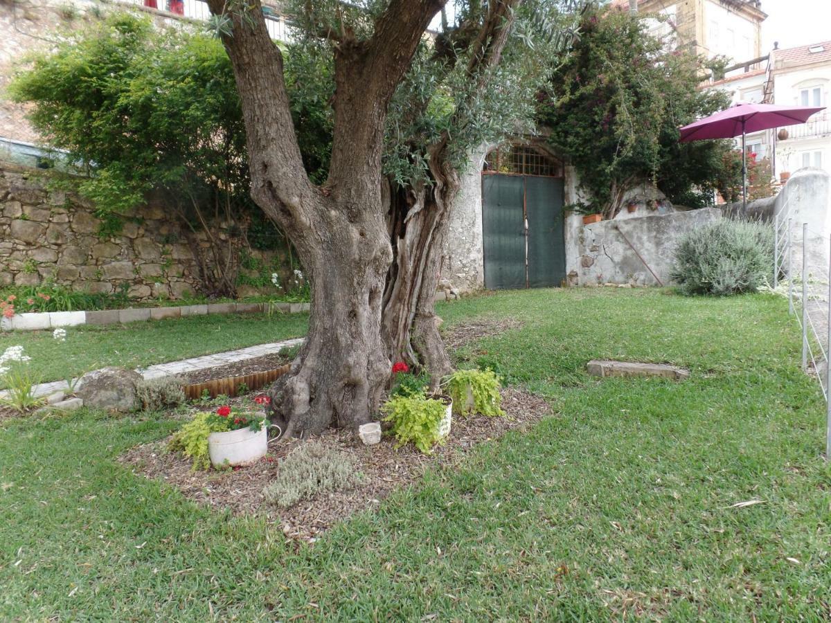 Ponto De Vista - Coimbra Villa Exteriör bild
